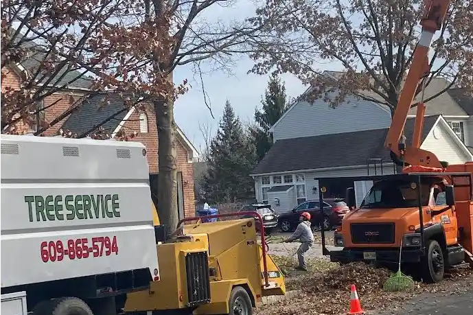 Tree Removal Princeton NJ