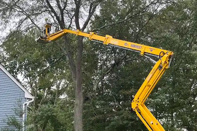 Tree Service Princeton